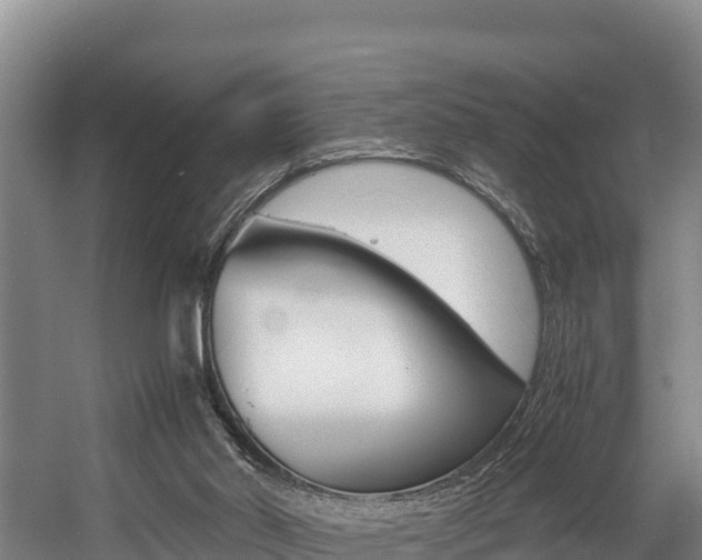 X0000056000014200508190833