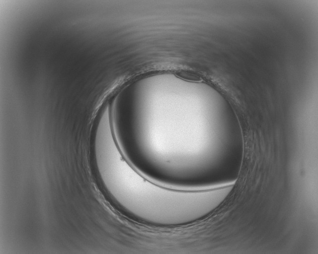 X0000056000015200508190833