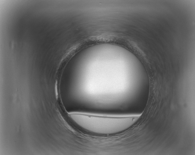 X0000056000020200508190833