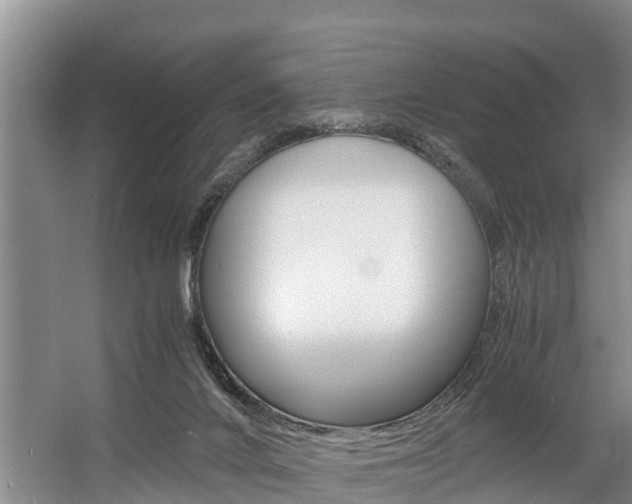 X0000056000024200508190833