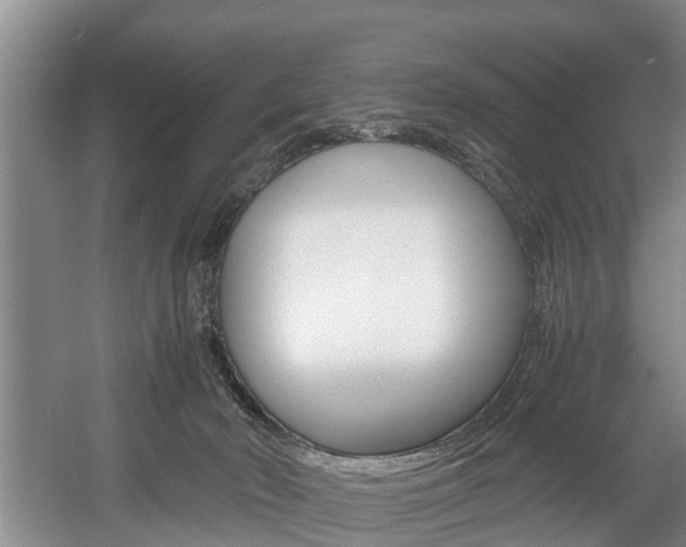 X0000056000030200508190833