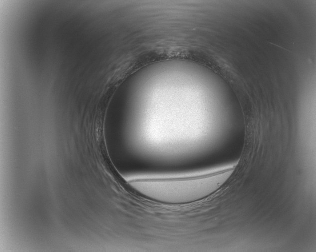 X0000056000039200508190833