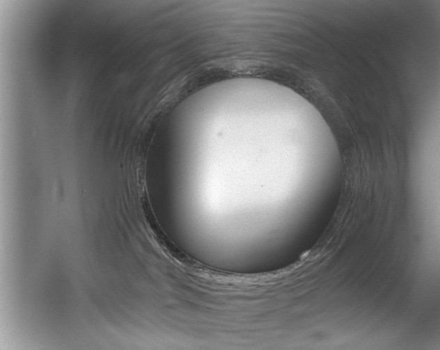 X0000056000044200508190833