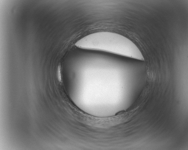 X0000056000046200508190833