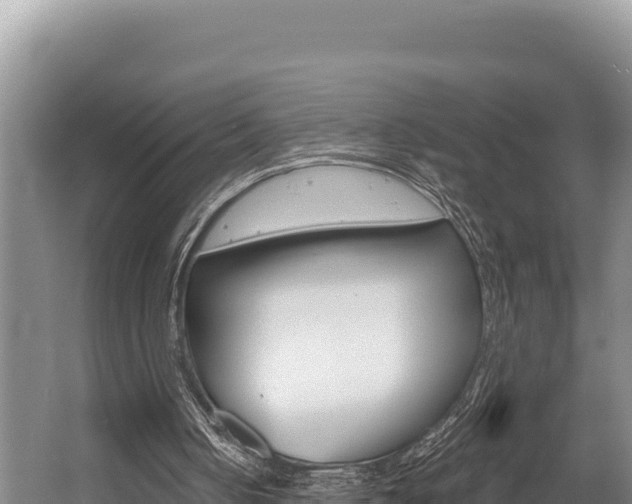 X0000056000050200508190832