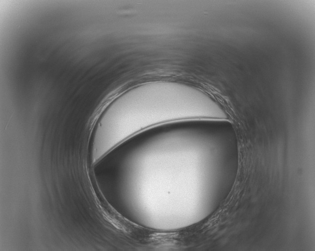 X0000056000051200508190832