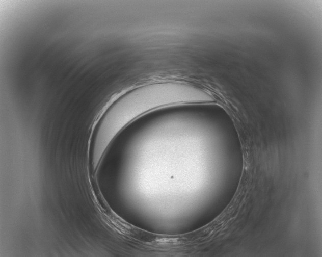 X0000056000052200508190832
