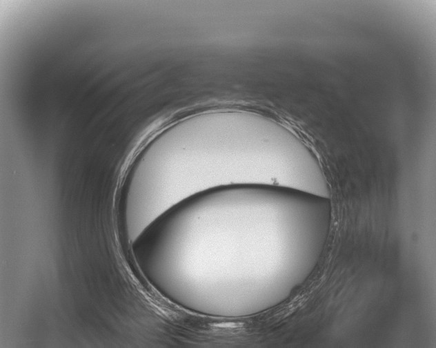 X0000056000053200508190832