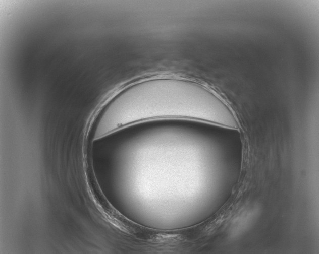 X0000056000055200508190832