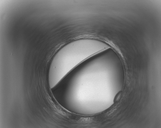 X0000056000057200508190832