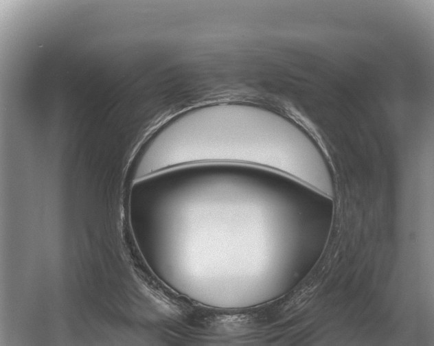 X0000056000059200508190832