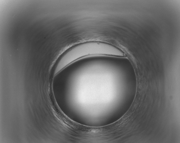 X0000056000060200508190832