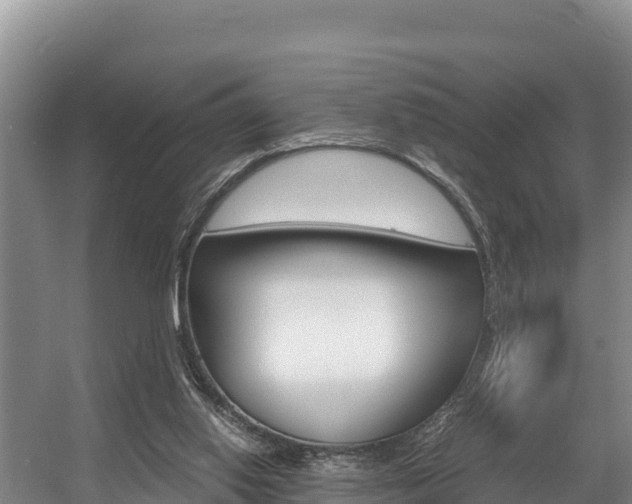X0000056000062200508190832