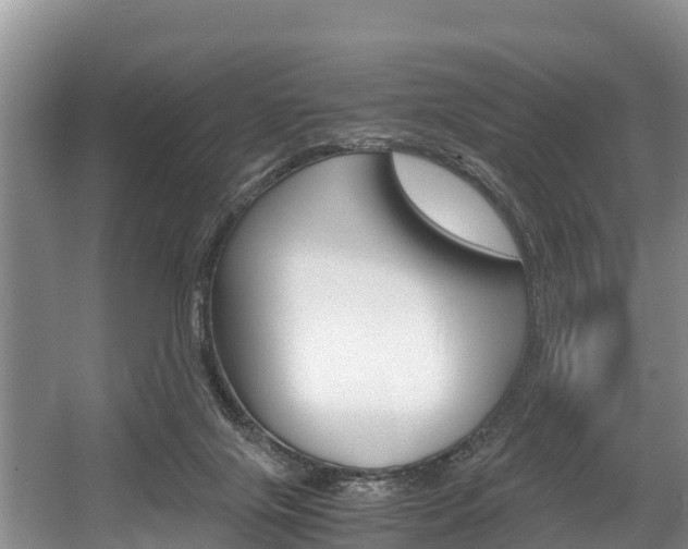 X0000056000071200508190832