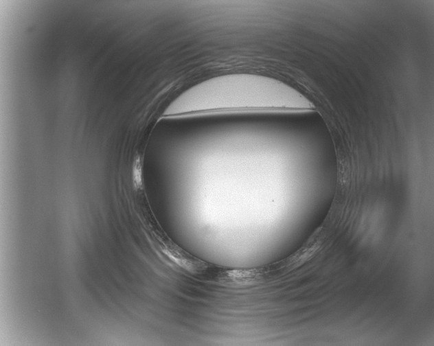 X0000056000095200508190833