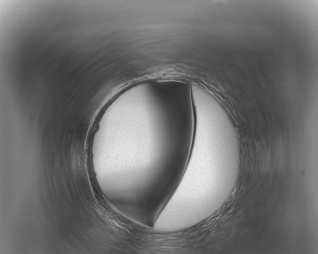 X0000056000100200508190832