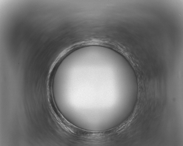 X0000056000102200508190832