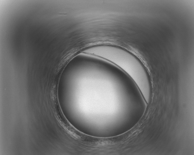 X0000056000105200508190832