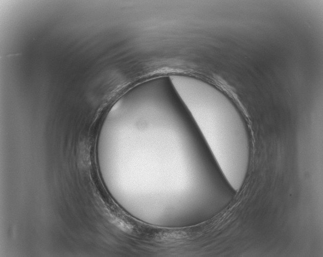 X0000056000106200508190832