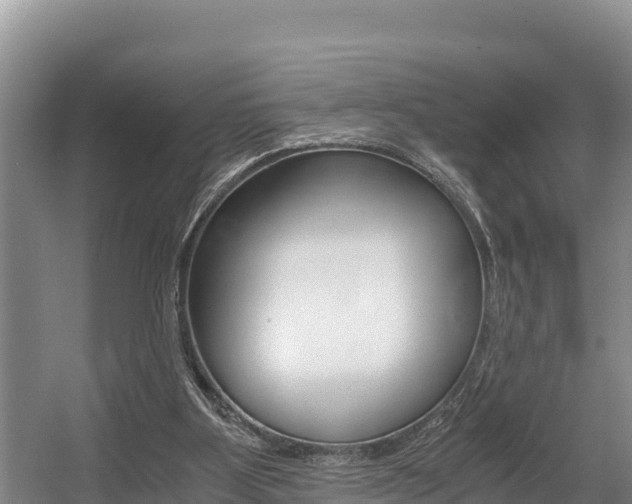 X0000056000107200508190832