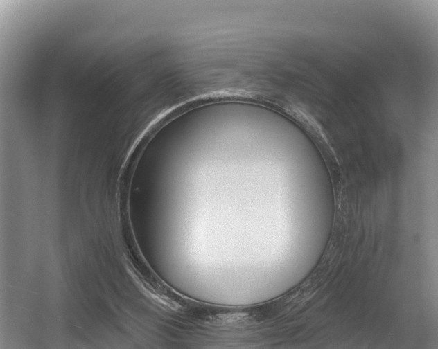 X0000056000108200508190832