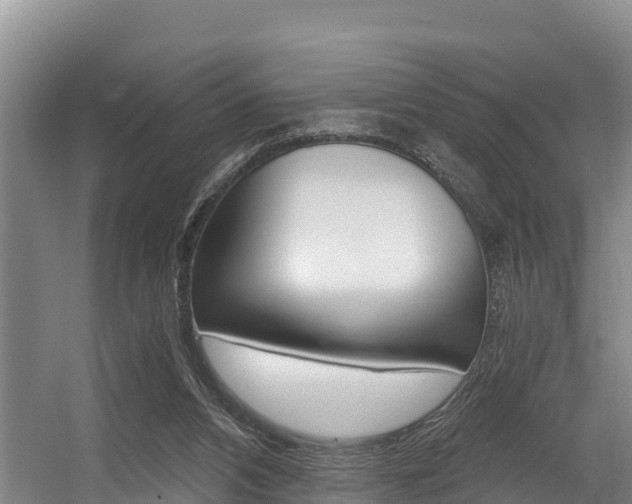 X0000056000112200508190832