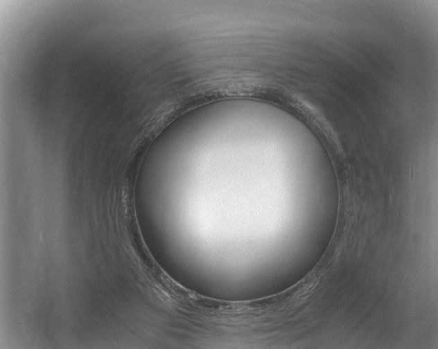 X0000056000113200508190832