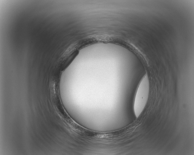 X0000056000117200508190832