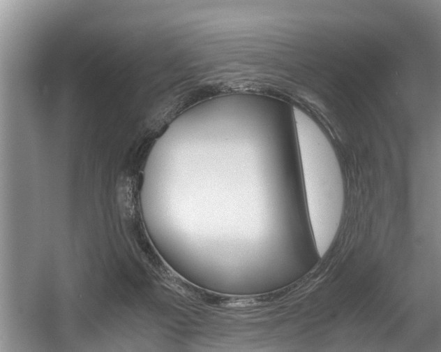 X0000056000121200508190831