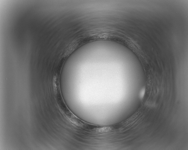 X0000056000122200508190831