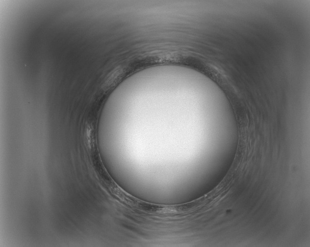 X0000056000123200508190831