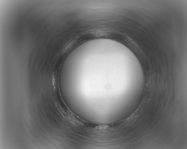 X0000056000124200508190831
