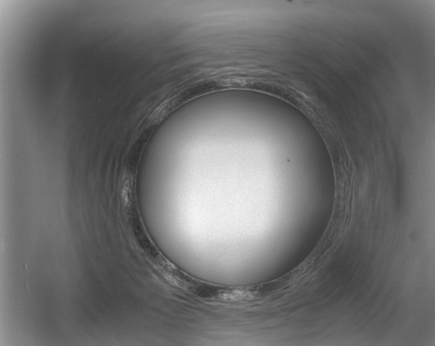 X0000056000125200508190831