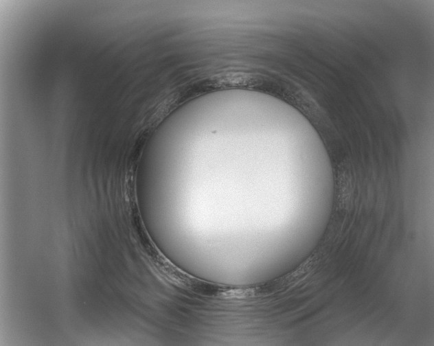 X0000056000126200508190831