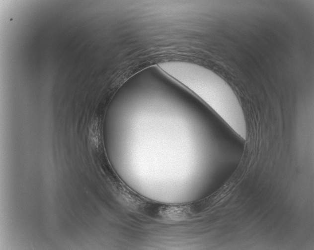 X0000056000129200508190831