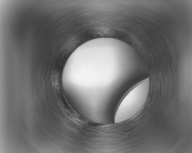 X0000056000132200508190831