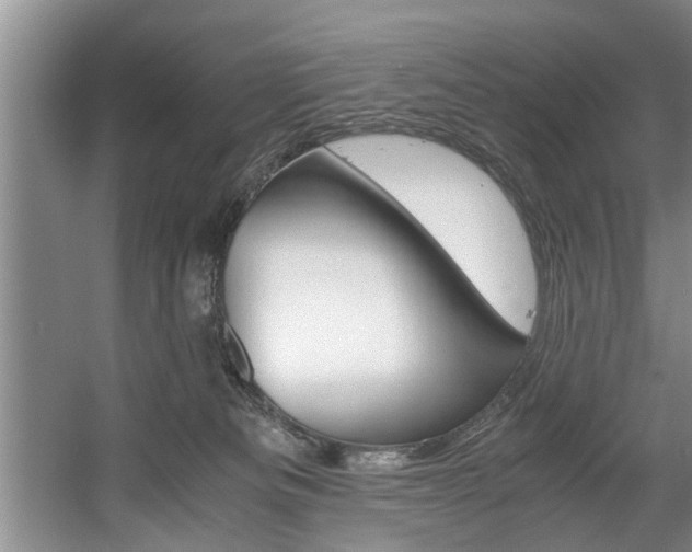 X0000056000133200508190831