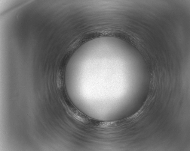 X0000056000136200508190831