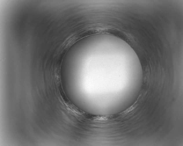 X0000056000140200508190831