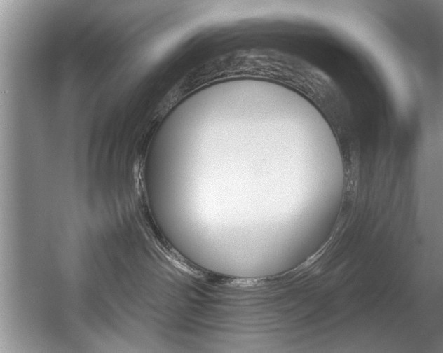 X0000056000142200508190831