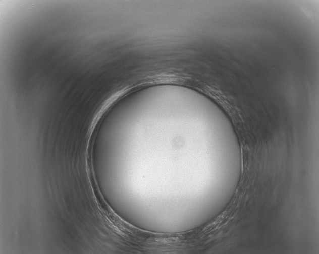 X0000056000147200508190830