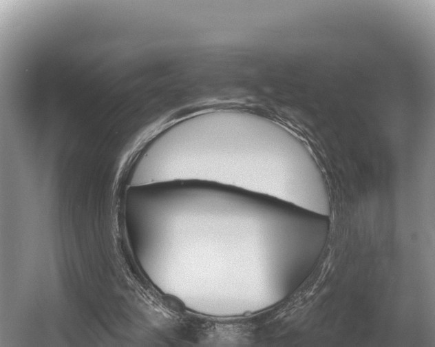 X0000056000149200508190830