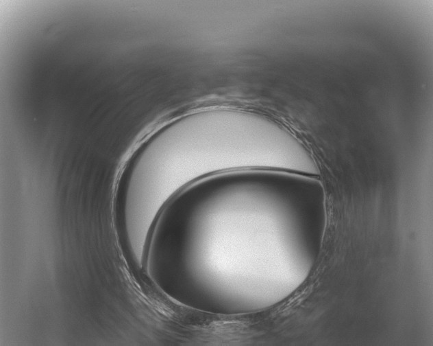 X0000056000150200508190830
