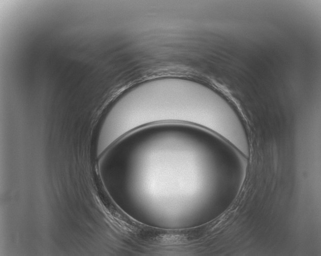 X0000056000154200508190830