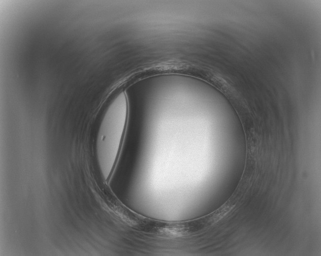 X0000056000164200508190831