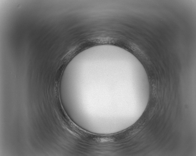 X0000056000165200508190831