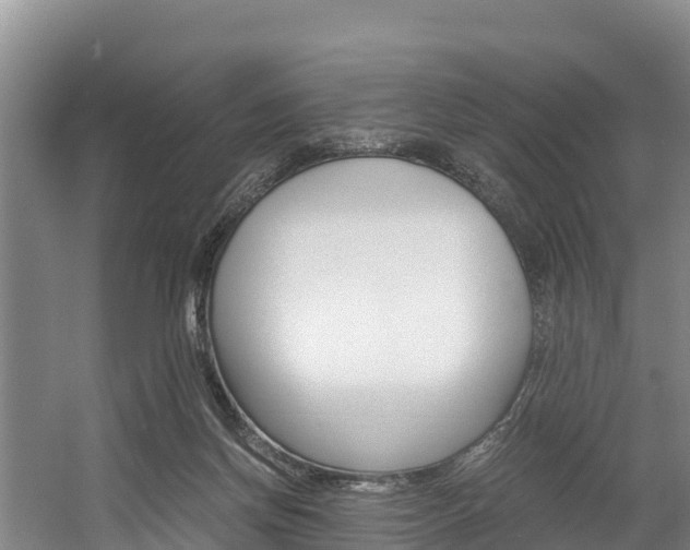 X0000056000166200508190831