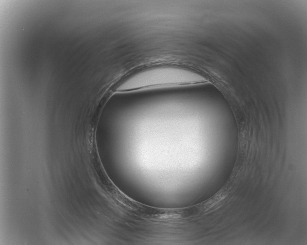 X0000056000168200508190831
