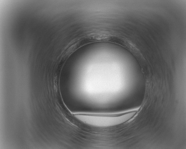 X0000056000170200508190831