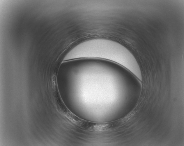 X0000056000172200508190831